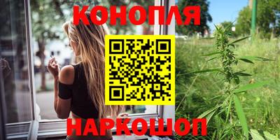 амф Новозыбков