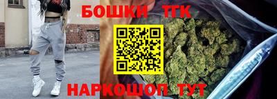 соль ск Можга