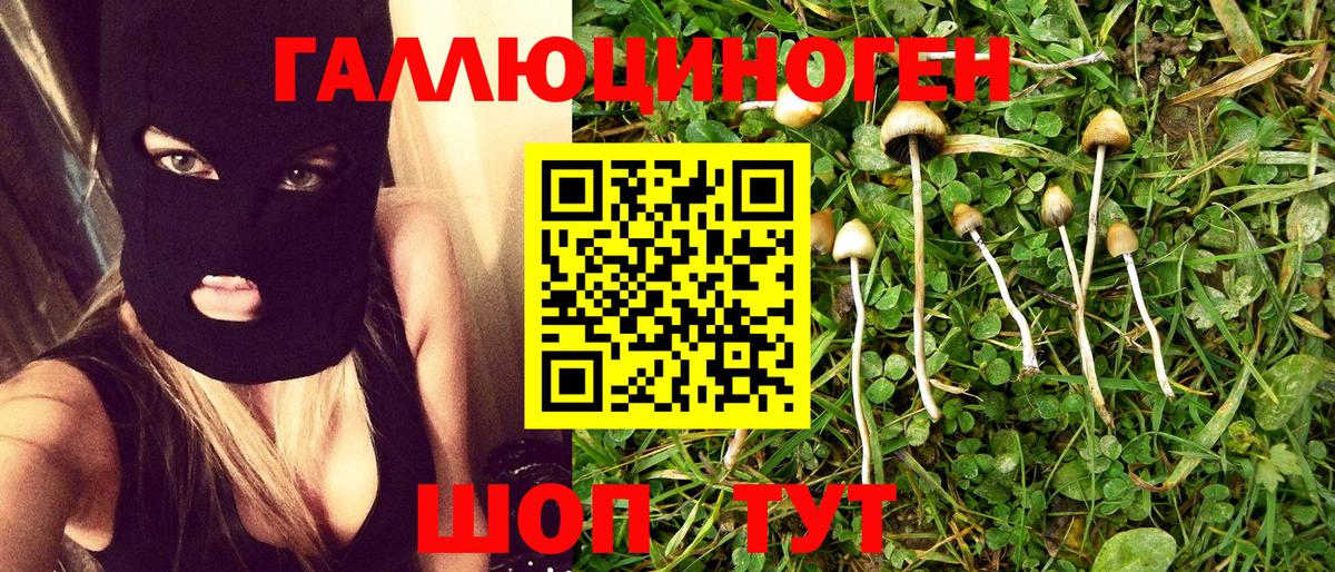 Галлюциногенные грибы Cubensis Урюпинск