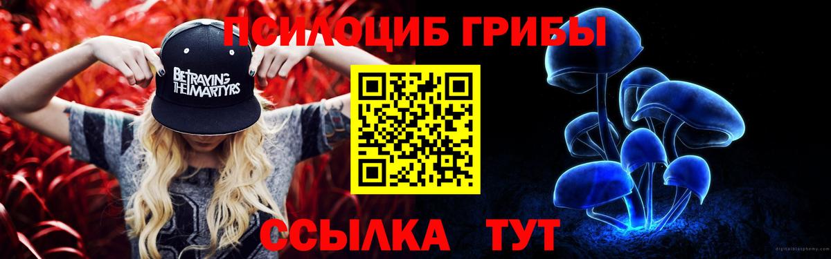 Галлюциногенные грибы Psilocybe  Вход с VPN  Галлюциногенные грибы Cubensis  Урюпинск 